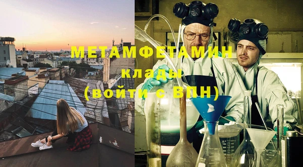 шишки Гвардейск