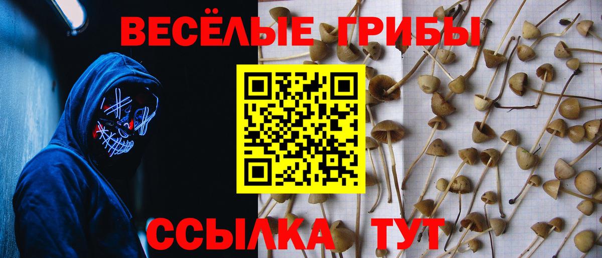 Галлюциногенные грибы мухоморы Чусовой